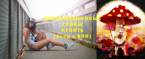 соль ск Барнаул