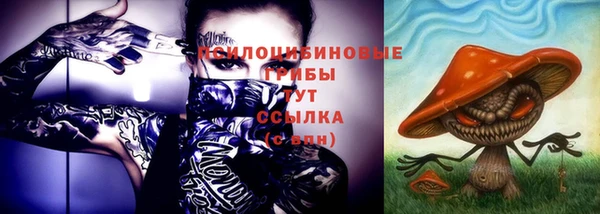 стаф Тольятти