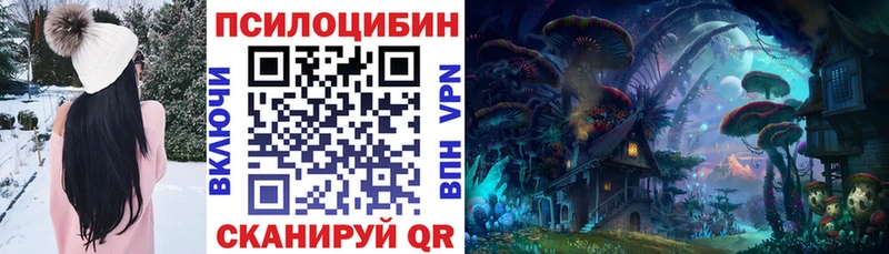 Псилоцибиновые грибы GOLDEN TEACHER  MEGA tor  Александровск 