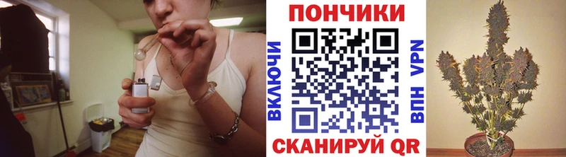 кракен ССЫЛКА  Александровск  Конопля ГИДРОПОН  закладка 
